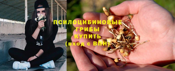 бутират Балахна