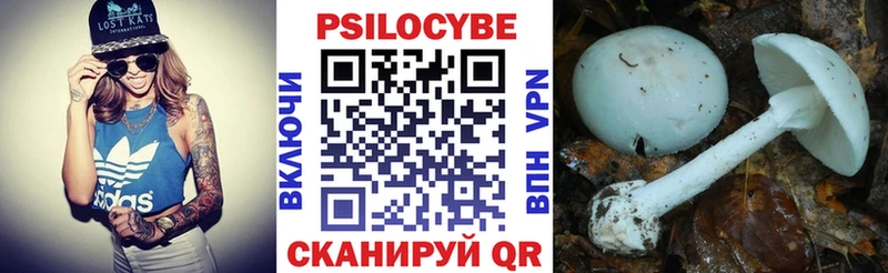 кракен онион  Заозёрск  Псилоцибиновые грибы Cubensis 